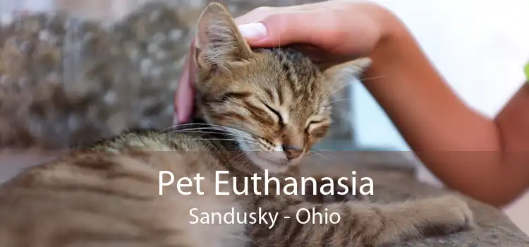 Pet Euthanasia Sandusky - Ohio
