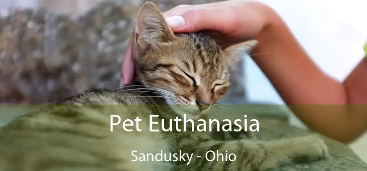 Pet Euthanasia Sandusky - Ohio