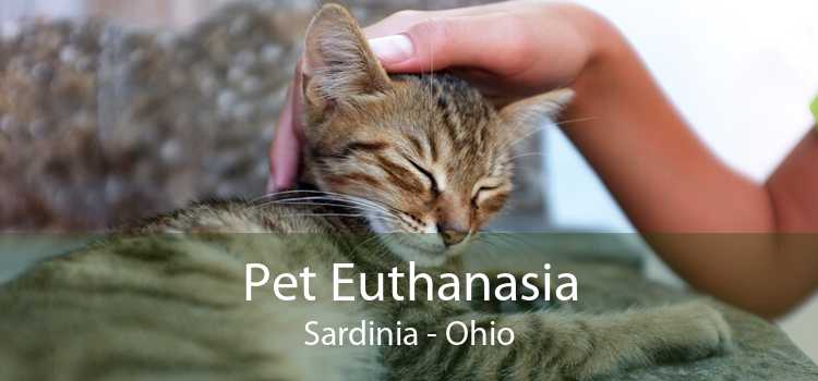 Pet Euthanasia Sardinia - Ohio