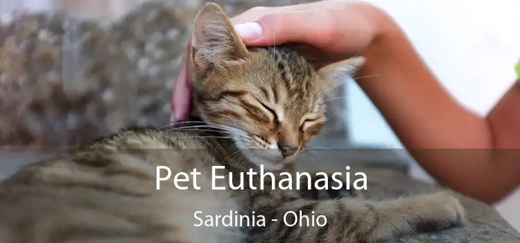 Pet Euthanasia Sardinia - Ohio