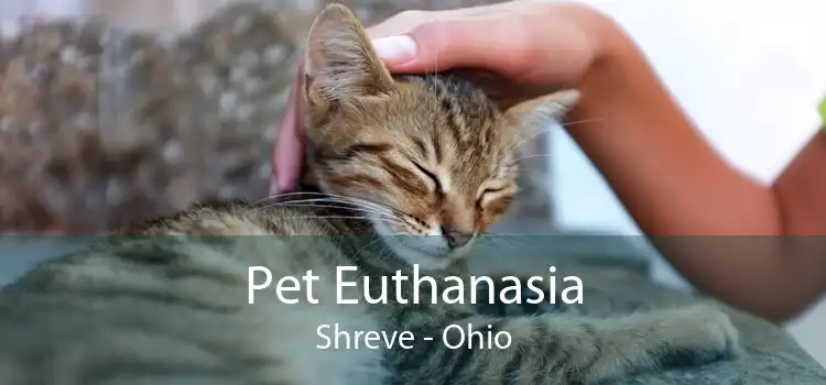 Pet Euthanasia Shreve - Ohio