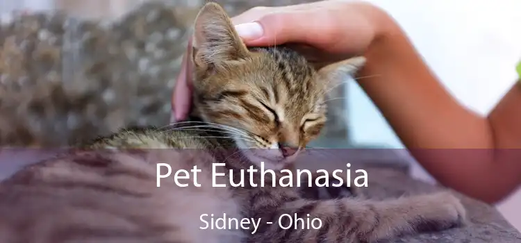 Pet Euthanasia Sidney - Ohio