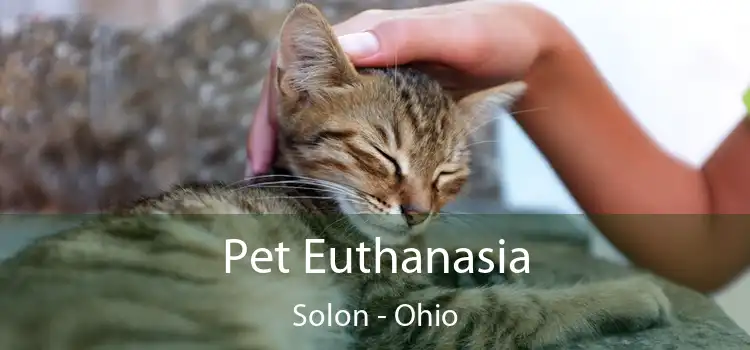 Pet Euthanasia Solon - Ohio