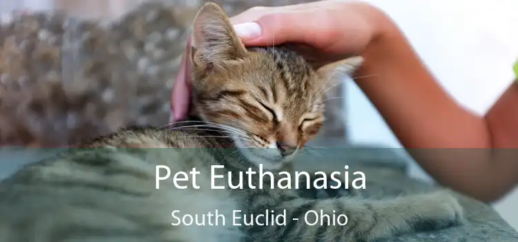 Pet Euthanasia South Euclid - Ohio