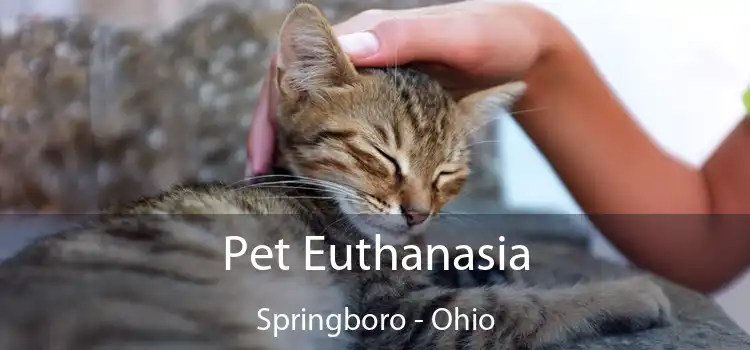 Pet Euthanasia Springboro - Ohio