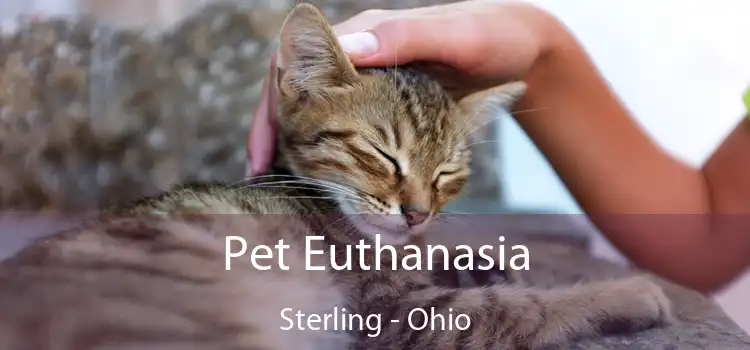 Pet Euthanasia Sterling - Ohio