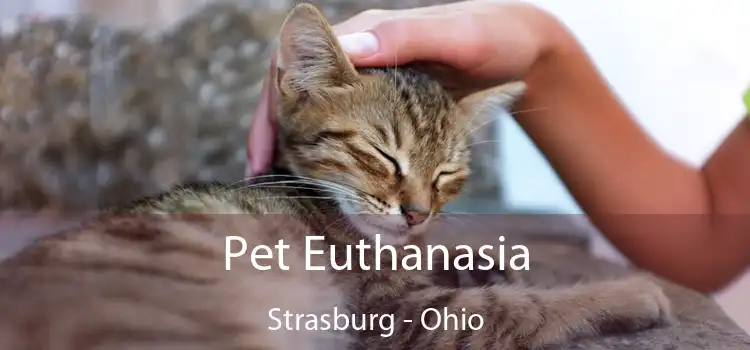 Pet Euthanasia Strasburg - Ohio