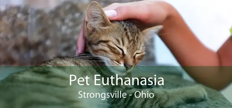Pet Euthanasia Strongsville - Ohio