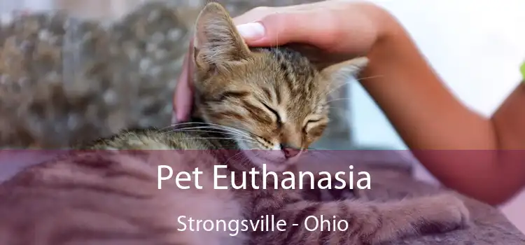 Pet Euthanasia Strongsville - Ohio