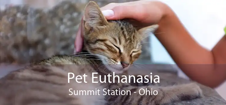 Pet Euthanasia Summit Station - Ohio