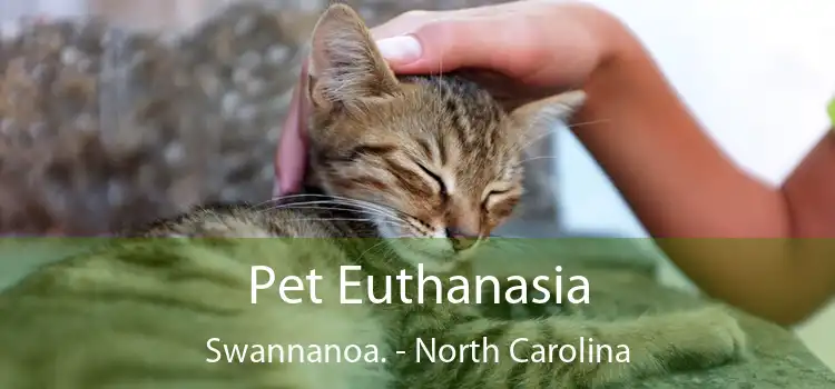 Pet Euthanasia Swannanoa. - North Carolina