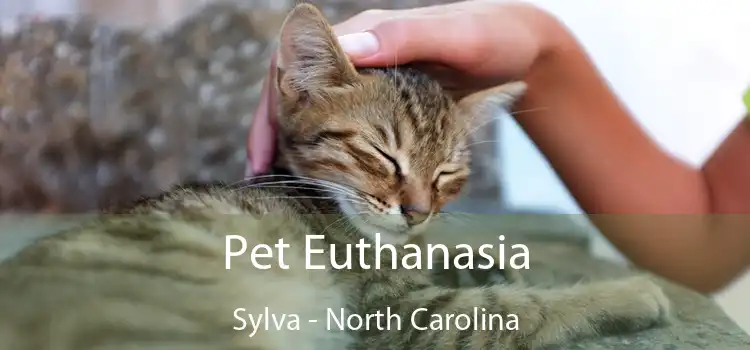 Pet Euthanasia Sylva - North Carolina