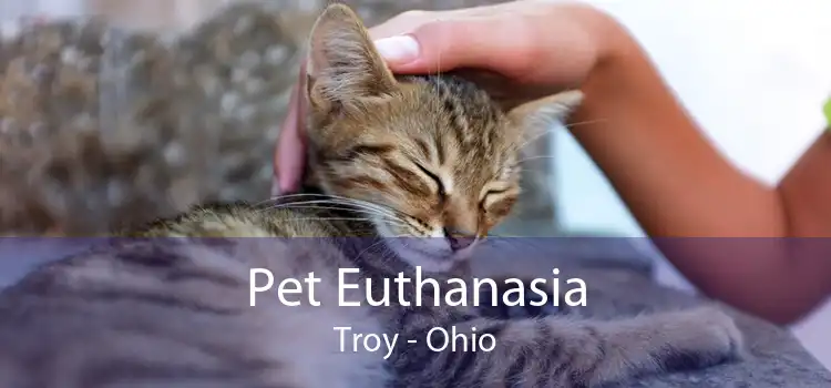 Pet Euthanasia Troy - Ohio
