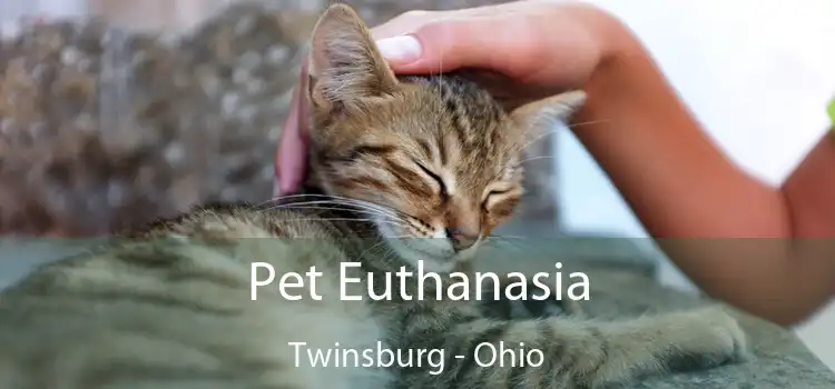 Pet Euthanasia Twinsburg - Ohio