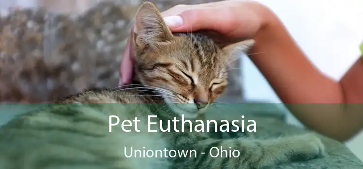Pet Euthanasia Uniontown - Ohio