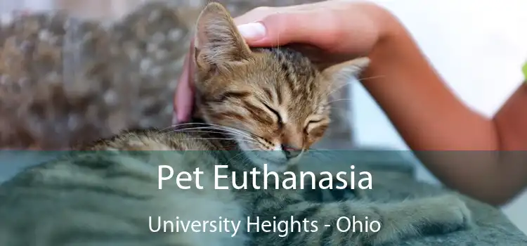 Pet Euthanasia University Heights - Ohio