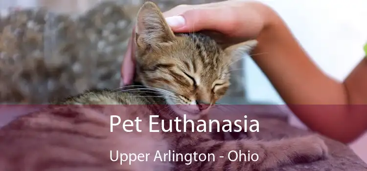 Pet Euthanasia Upper Arlington - Ohio