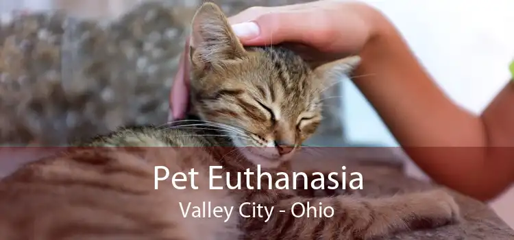 Pet Euthanasia Valley City - Ohio
