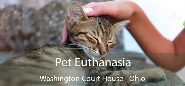 Pet Euthanasia Washington Court House - Ohio