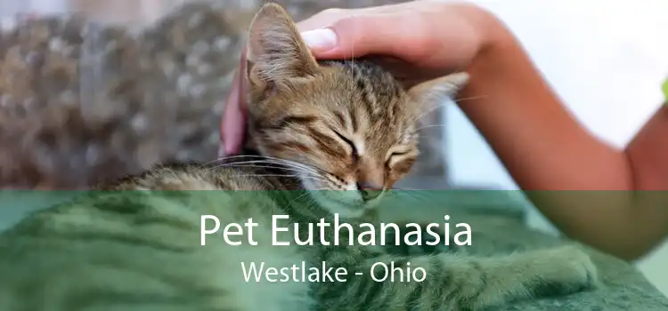Pet Euthanasia Westlake - Ohio