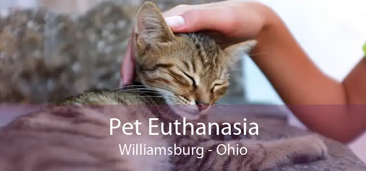 Pet Euthanasia Williamsburg - Ohio