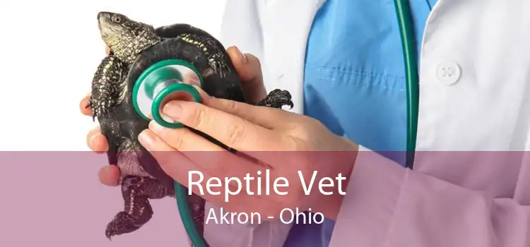 Reptile Vet Akron - Ohio