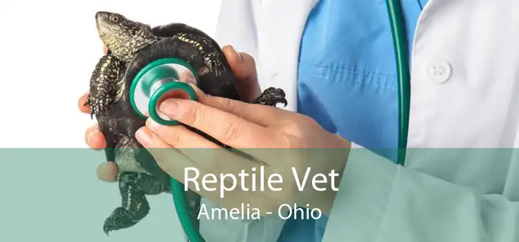 Reptile Vet Amelia - Ohio