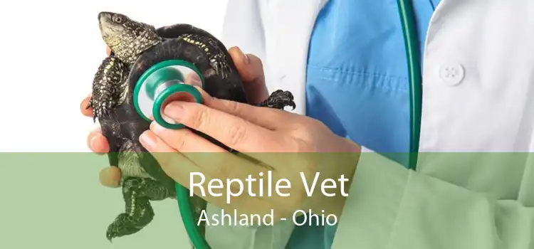 Reptile Vet Ashland - Ohio