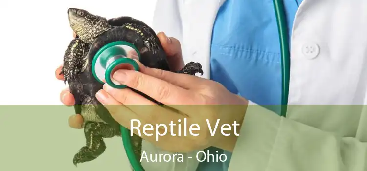 Reptile Vet Aurora - Ohio
