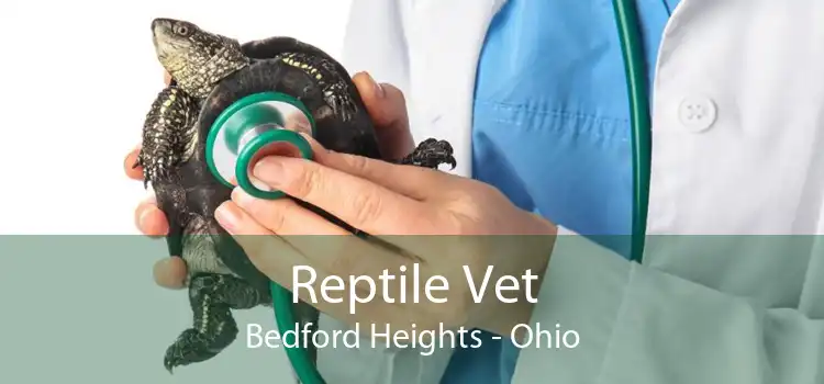 Reptile Vet Bedford Heights - Ohio