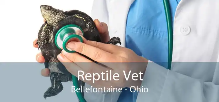 Reptile Vet Bellefontaine - Ohio