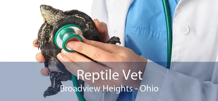 Reptile Vet Broadview Heights - Ohio