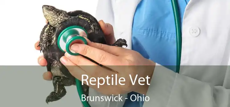 Reptile Vet Brunswick - Ohio