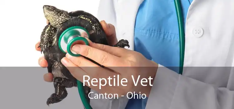 Reptile Vet Canton - Ohio