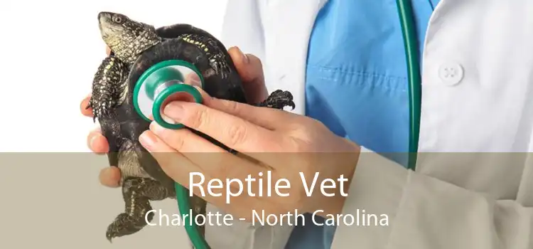 Reptile Vet Charlotte - North Carolina