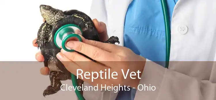 Reptile Vet Cleveland Heights - Ohio