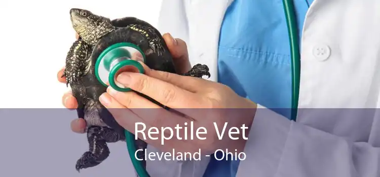 Reptile Vet Cleveland - Ohio