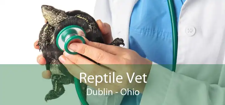 Reptile Vet Dublin - Ohio