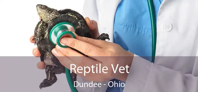 Reptile Vet Dundee - Ohio