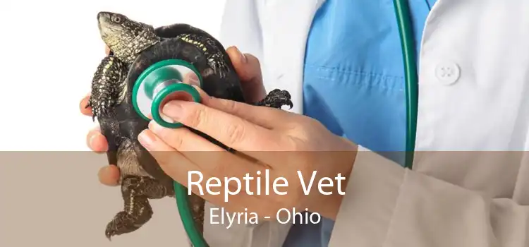 Reptile Vet Elyria - Ohio