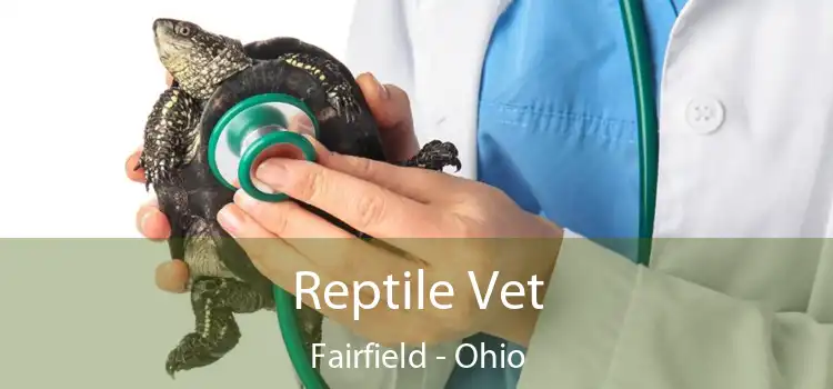 Reptile Vet Fairfield - Ohio