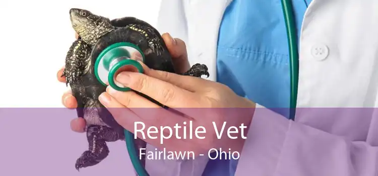 Reptile Vet Fairlawn - Ohio