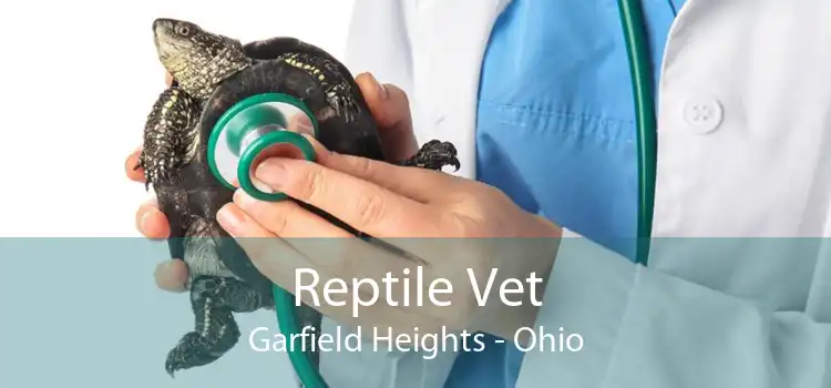 Reptile Vet Garfield Heights - Ohio