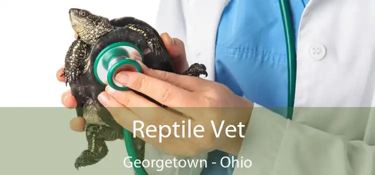 Reptile Vet Georgetown - Ohio