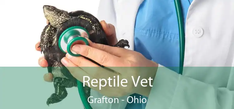 Reptile Vet Grafton - Ohio