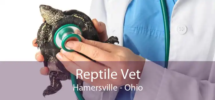 Reptile Vet Hamersville - Ohio