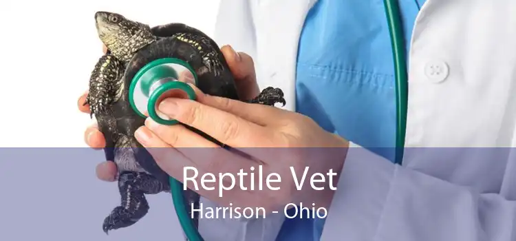 Reptile Vet Harrison - Ohio