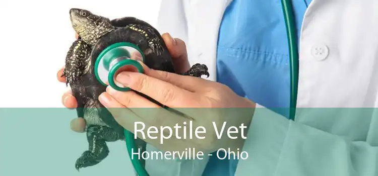 Reptile Vet Homerville - Ohio