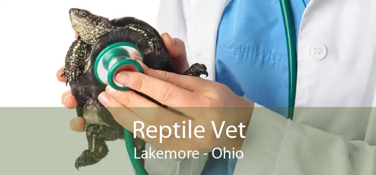 Reptile Vet Lakemore - Ohio