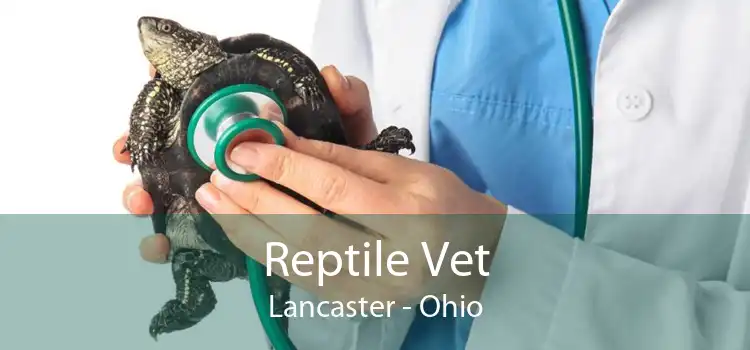 Reptile Vet Lancaster - Ohio